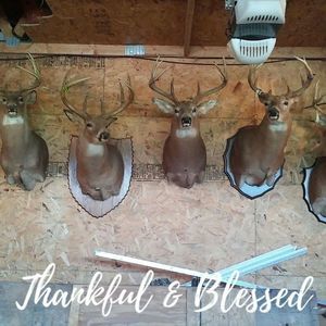 Meet your Posher, Ronald